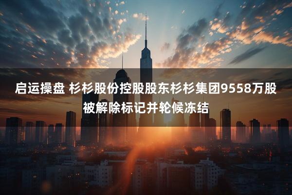 启运操盘 杉杉股份控股股东杉杉集团9558万股被解除标记并轮候冻结