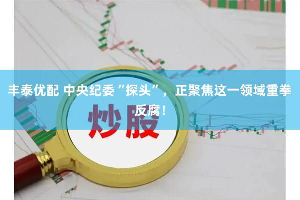 丰泰优配 中央纪委“探头”，正聚焦这一领域重拳反腐！