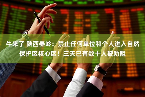 牛来了 陕西秦岭：禁止任何单位和个人进入自然保护区核心区！三天已有数十人被劝阻