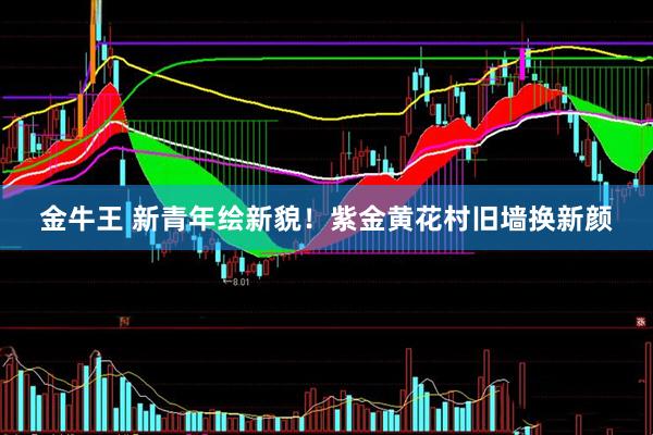 金牛王 新青年绘新貌！紫金黄花村旧墙换新颜