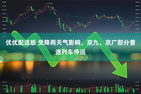 优优配送版 受降雨天气影响，京九、京广部分普速列车停运