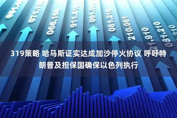 319策略 哈马斯证实达成加沙停火协议 呼吁特朗普及担保国确保以色列执行